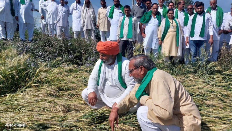 Farmer Leader Rakesh Tikait reached Karnal to take stock of rain-damaged crops