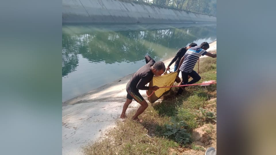 Dead Body of Young man recovered from JLN Canal in Jhajjar