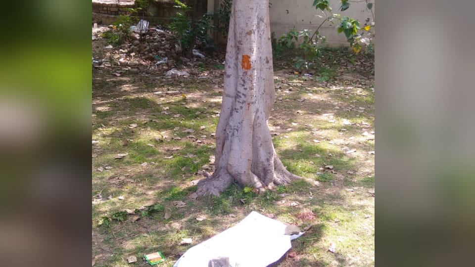 Dead body of man found in karan taal park in Karnal