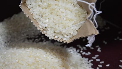 Bharat Rice: भारत ब्रांड के तहत 25 रुपये किलो की दर से चावल बेचेगी सरकार, कीमतों पर नियंत्रण रखना है लक्ष्य India to sell rice under Bharat brand at Rs 25 a kilo amid price spike