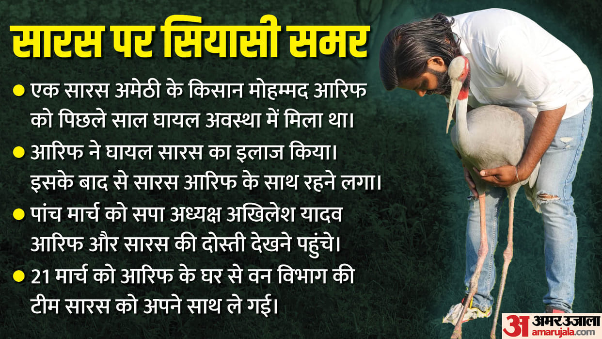 UP Politics: political war over crane, what is legal hurdle between bird and amethi farmer arif friendship