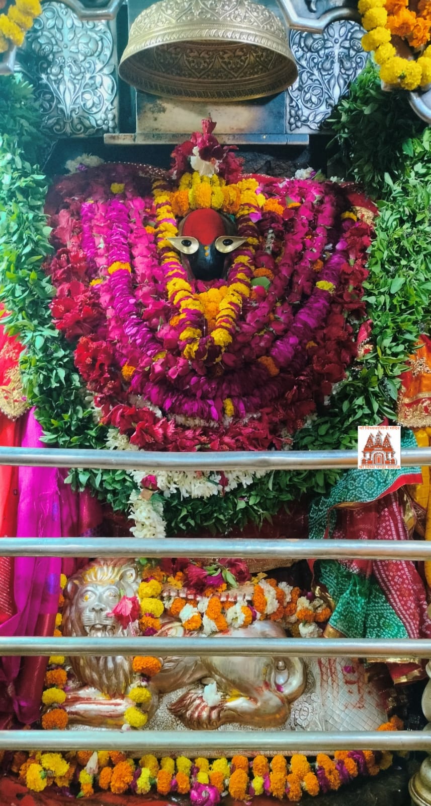 Chaitra Navratri Maha Ashtami: Devotees throng Maa Vindhyavasini court on Ashtami, desperate for a glimpse