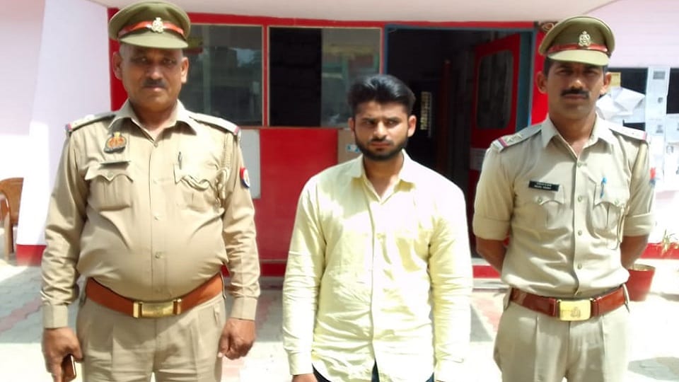 Goat stealing car rider arrested sent to jail
