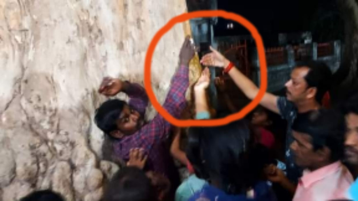 Claim of divine miracle again in Damoh, water came out from the tree planted in the temple crowd gathered