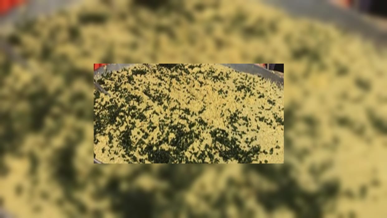 Baghpat: Police investigation revealed that khichdi was prepared with cannabis due to which 40 people fell ill