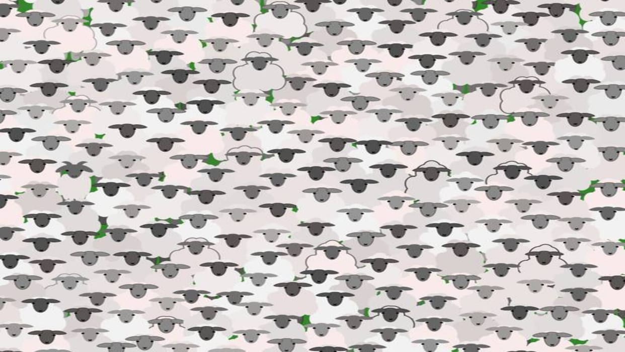 Optical Illusion: Can you spot hidden Goat inside the flock of Sheep in 11 Secs? Check Your Brain Iq