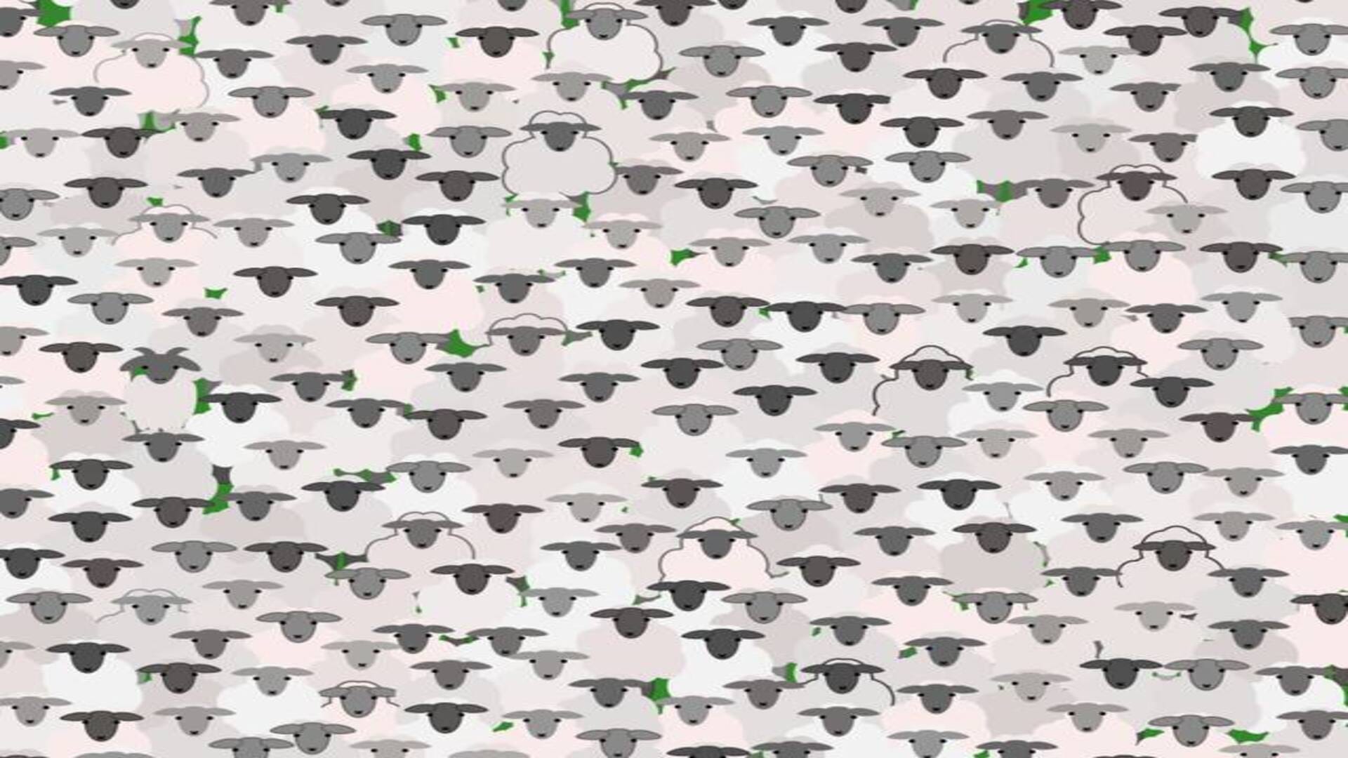 Optical Illusion: Can you spot hidden Goat inside the flock of Sheep in 11 Secs? Check Your Brain Iq
