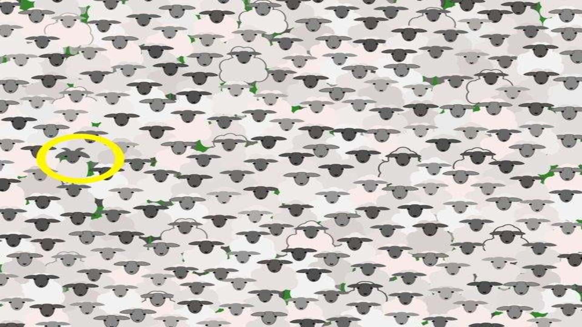 Optical Illusion: Can you spot hidden Goat inside the flock of Sheep in 11 Secs? Check Your Brain Iq