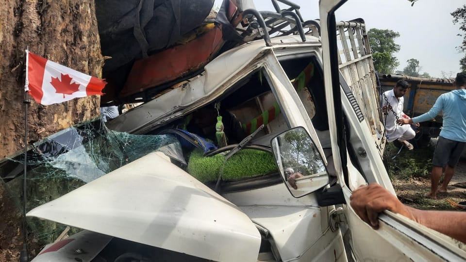 Major road accident in Yamunanagar: Pickup full of devotees collided with tree, 18 injured