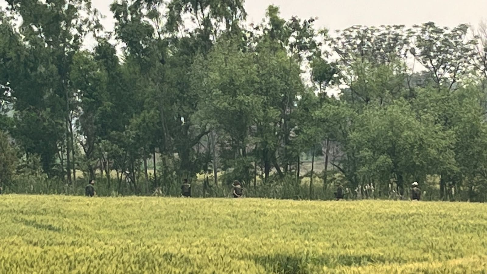 Kathua Hiranagar Blast case: Hand grenade found at some distance from spot search operation continues in Sanya