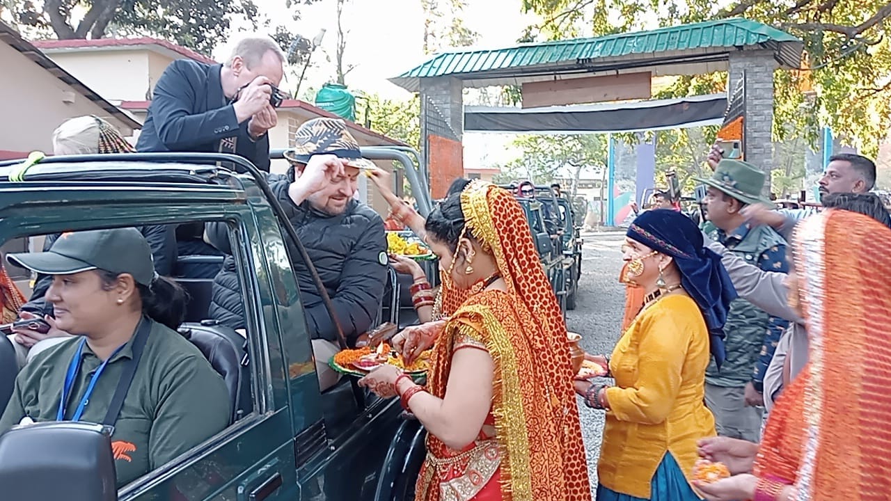 G-20 summit Ramnagar: Foreign Delegates see Tigers during jungle safari in Corbett National Park Photos