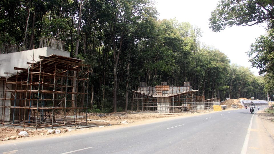 Delhi-Doon Expressway Traffic on new road wildlife will roam on old one