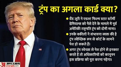 Donald Trump: former US President Donald Trump indicted over hush money by a grand jury, what next