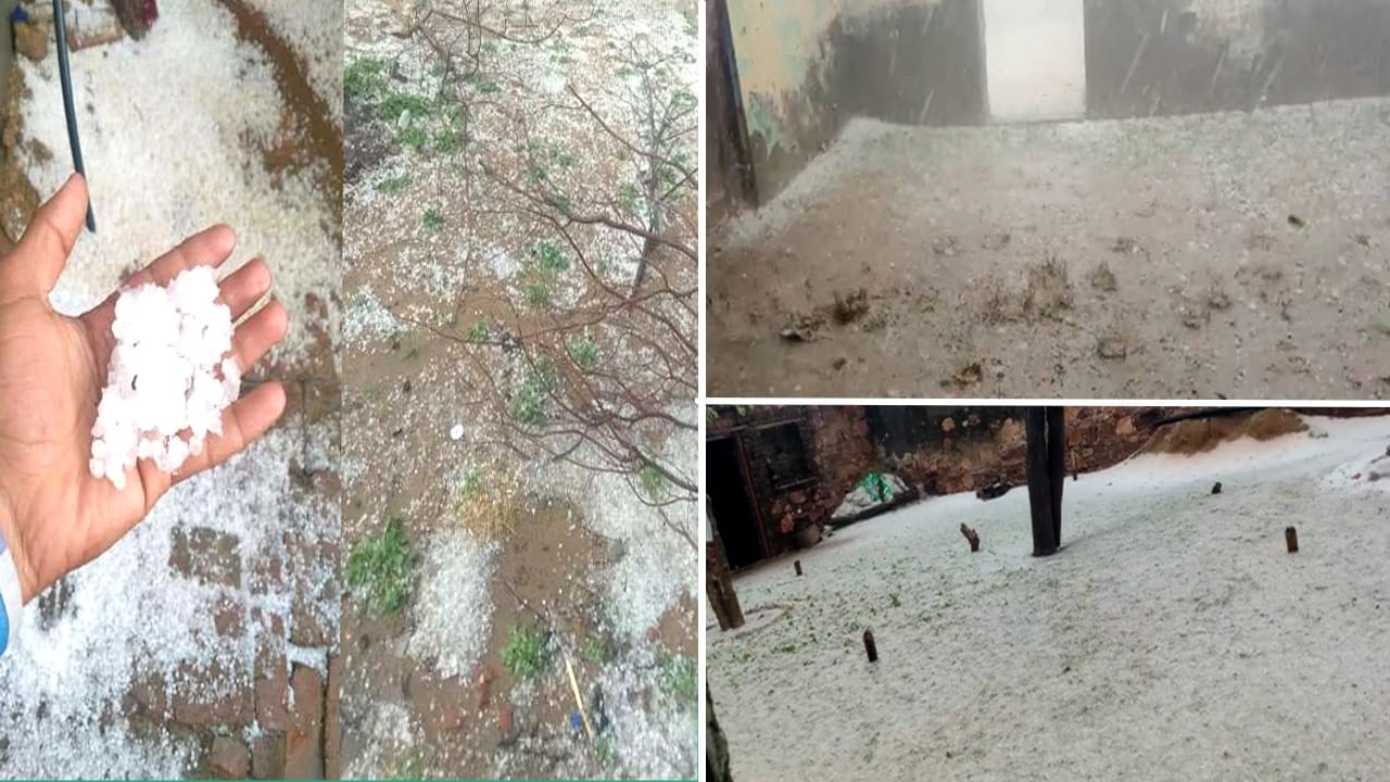 80 mm of rain in two hours and 20 minutes of heavy hail damage to crops in Mahendragarh