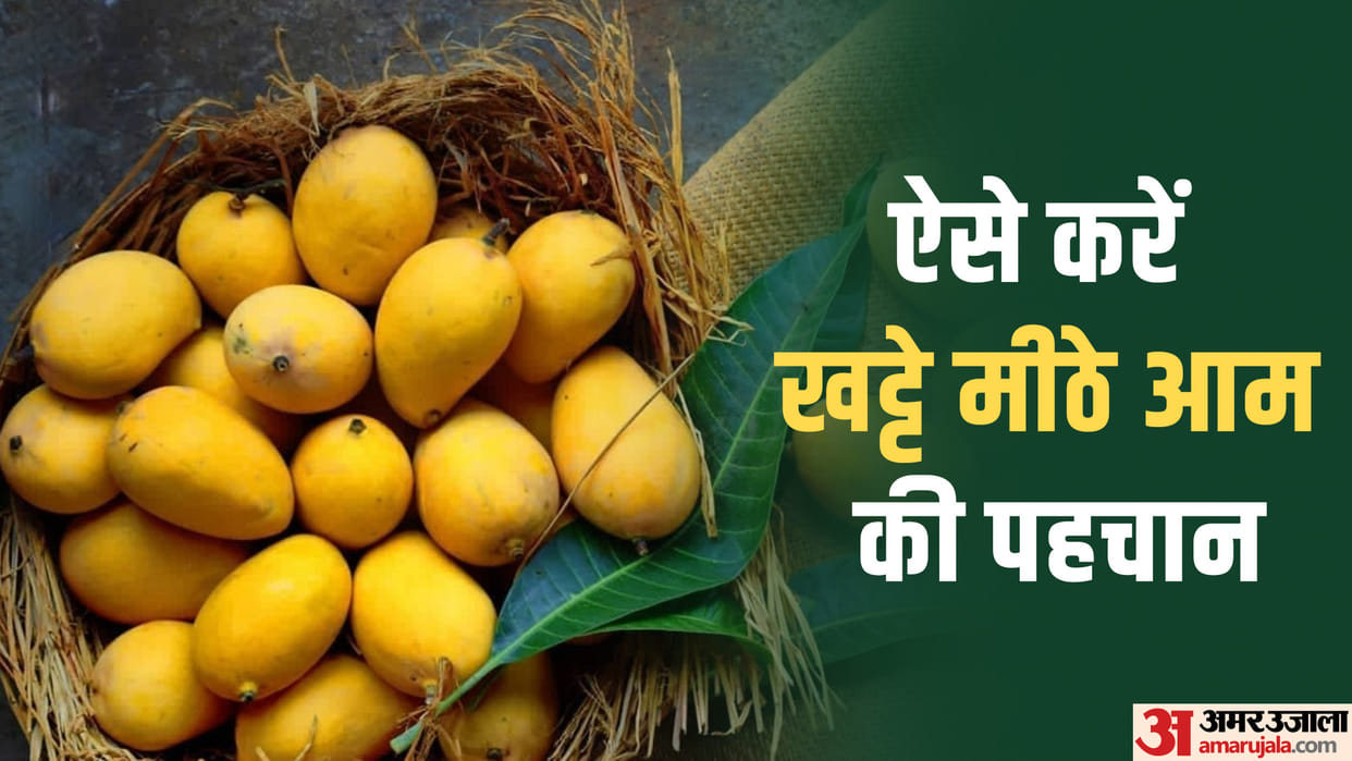 Mango Adulteration: How To Identify Sweet Mangoes Know The Method Here
