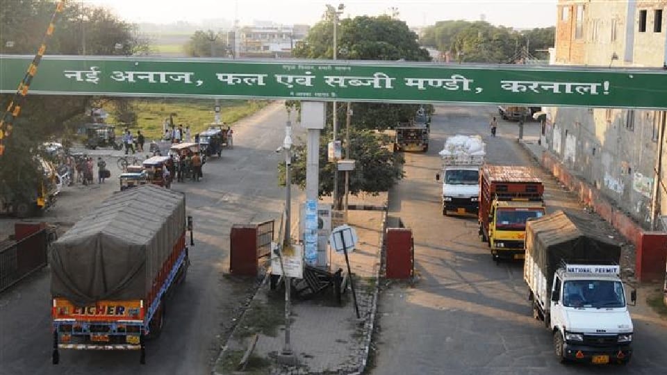 Wheat procurement did not start in the district, officers took stock