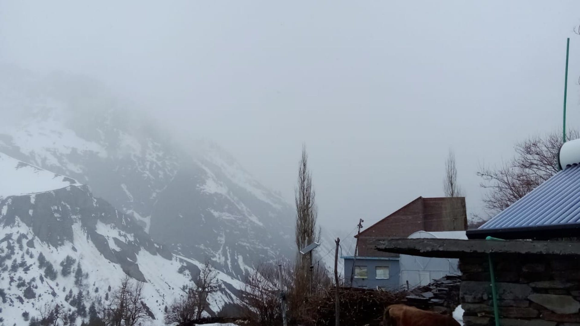 himachal weather update snowfall in lahaul rohtang and rain in shimla kangra bilaspur amid orange alert
