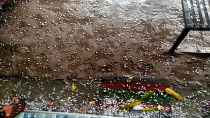 Heavy damage to crops due to hailstorm and rain for the third time, survey will be done again