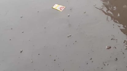 light rain falling in gorakhpur basti mandal