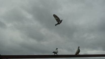 Weather Update yellow alert in Bareilly