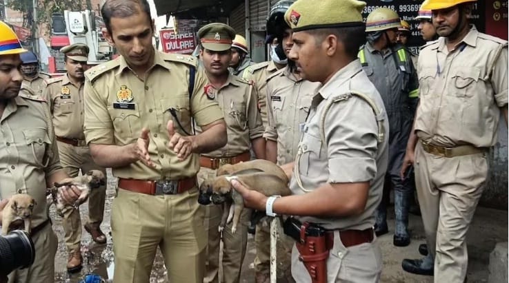 Kanpur Fire, Burnt houses of animals and birds, were rescued and taken out by police