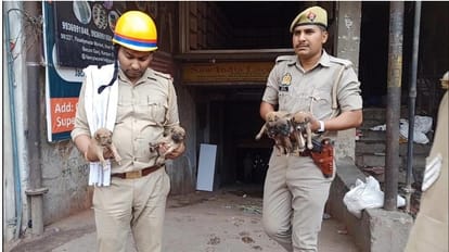 Kanpur Fire, Burnt houses of animals and birds, were rescued and taken out by police