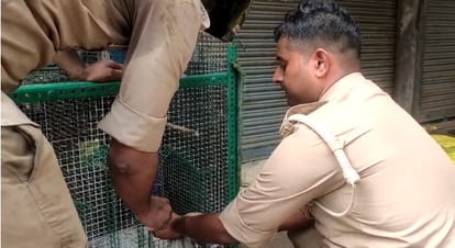 Kanpur Fire, Burnt houses of animals and birds, were rescued and taken out by police