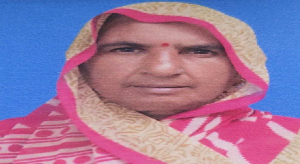 Woman sitting on bike lost her balance died after falling on the road