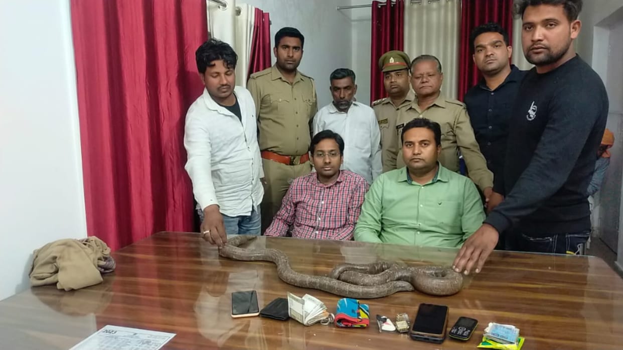 Bijnor: Three smugglers arrested for haggling to sell rare snake for one crore