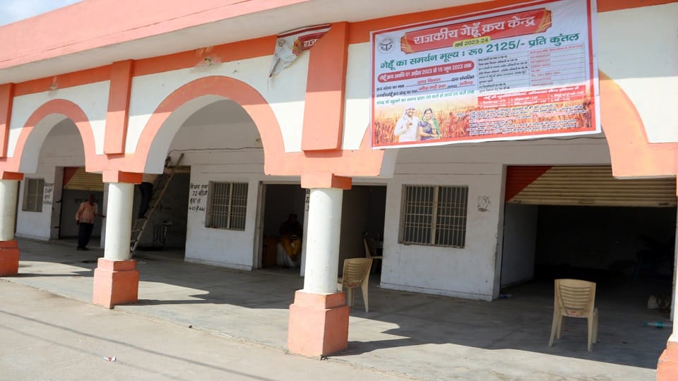 Government purchase centers remained empty