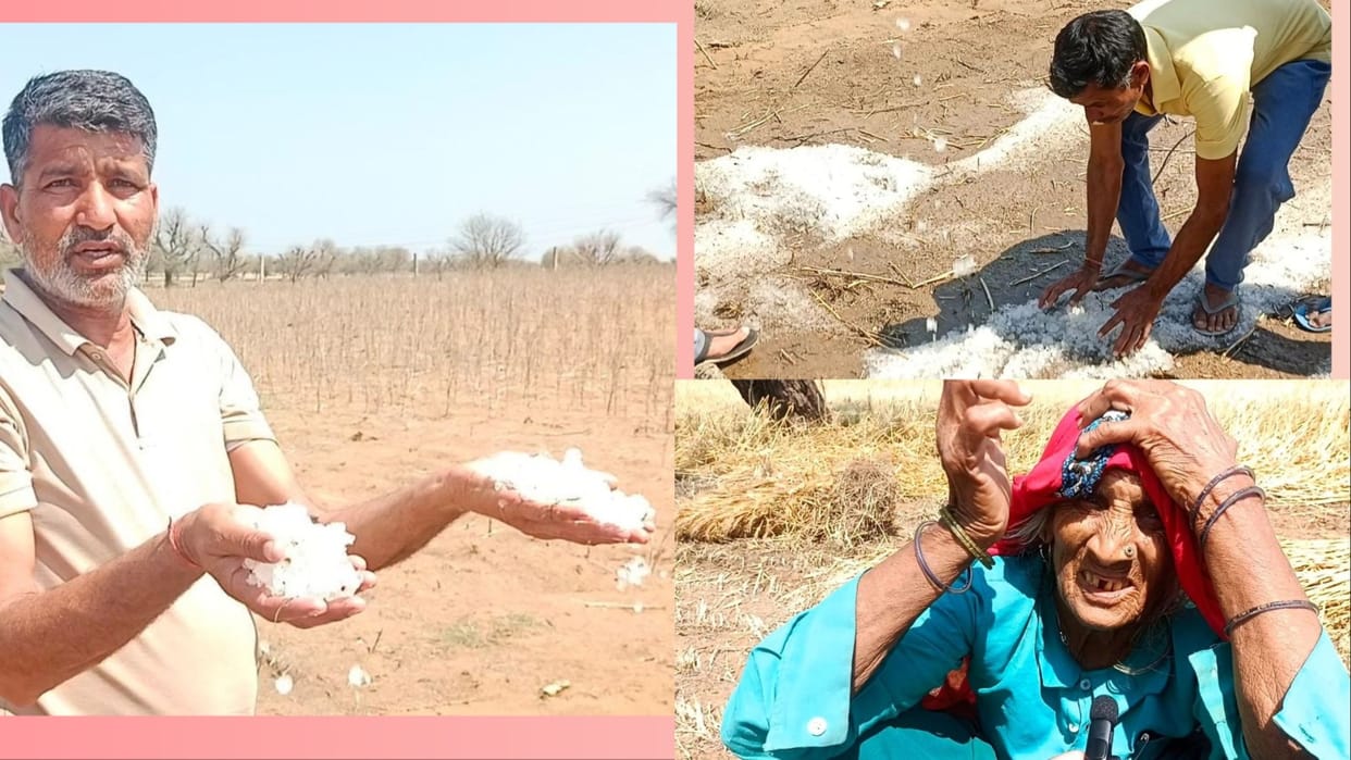 Mahendragarh: Hail found in the fields even after 24 hours