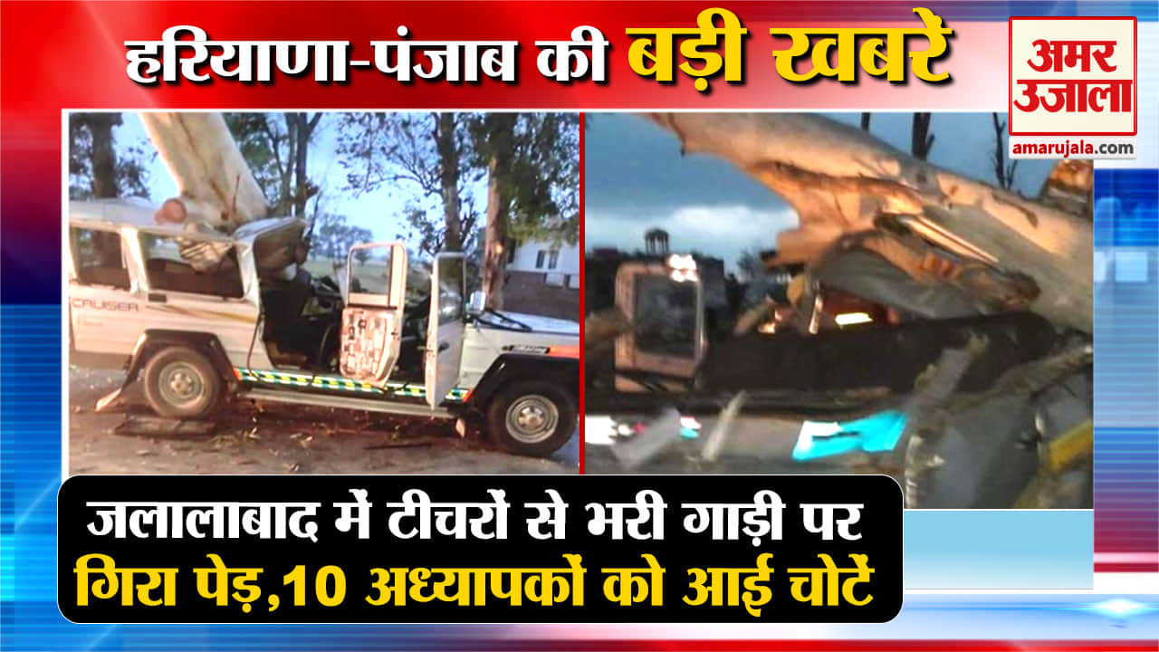 हरियाणा न्यूज