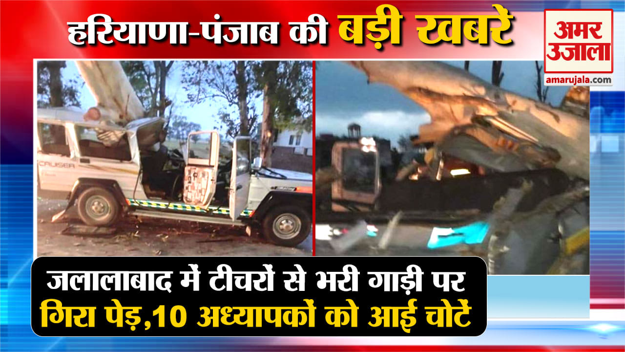 हरियाणा न्यूज
