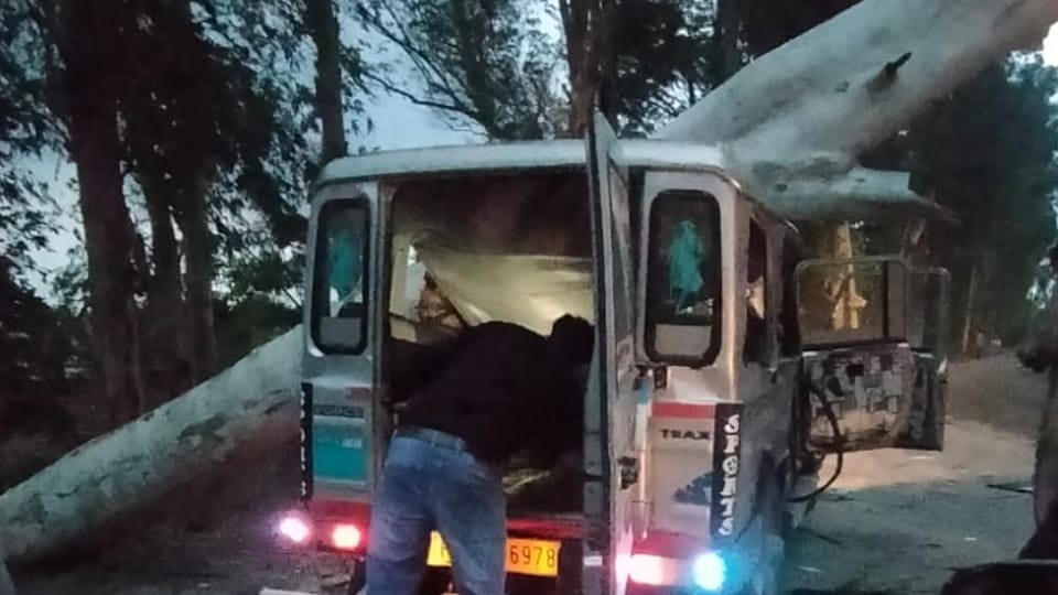 Tree fell on teachers car in Firozpur, three injured