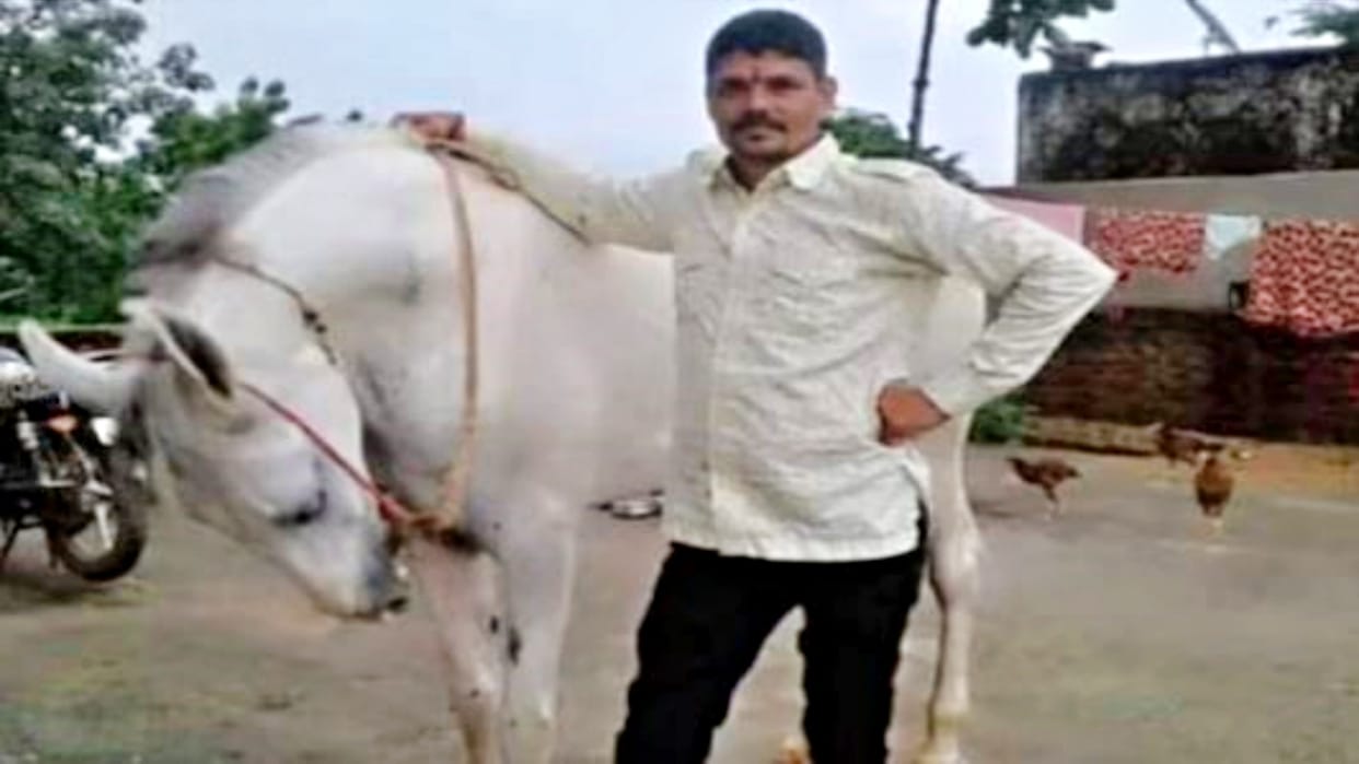 Rajasthan Crime News Horse owner beaten to death with sticks in Dungarpur Rajasthan