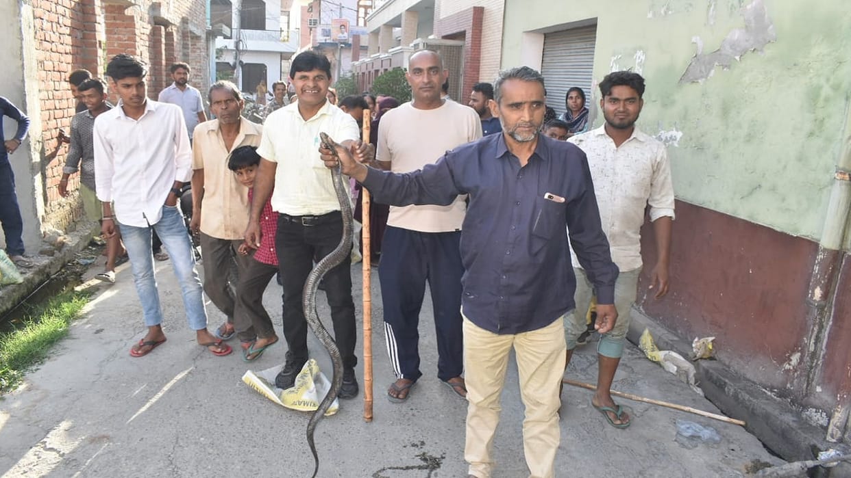 People came in panic due to snake coming out in Teacher Colony in Gajraula Amroha