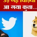 एलन मस्क