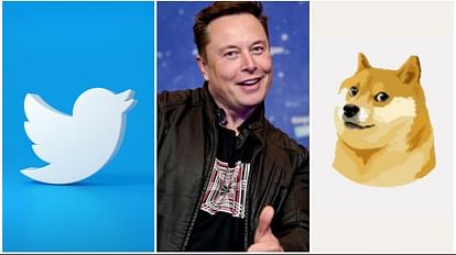 Elon Musk changes Twitter Bird Logo with Shibu Inu of Doge Meme amid Dogecoin inflation Lawsuit news and updat