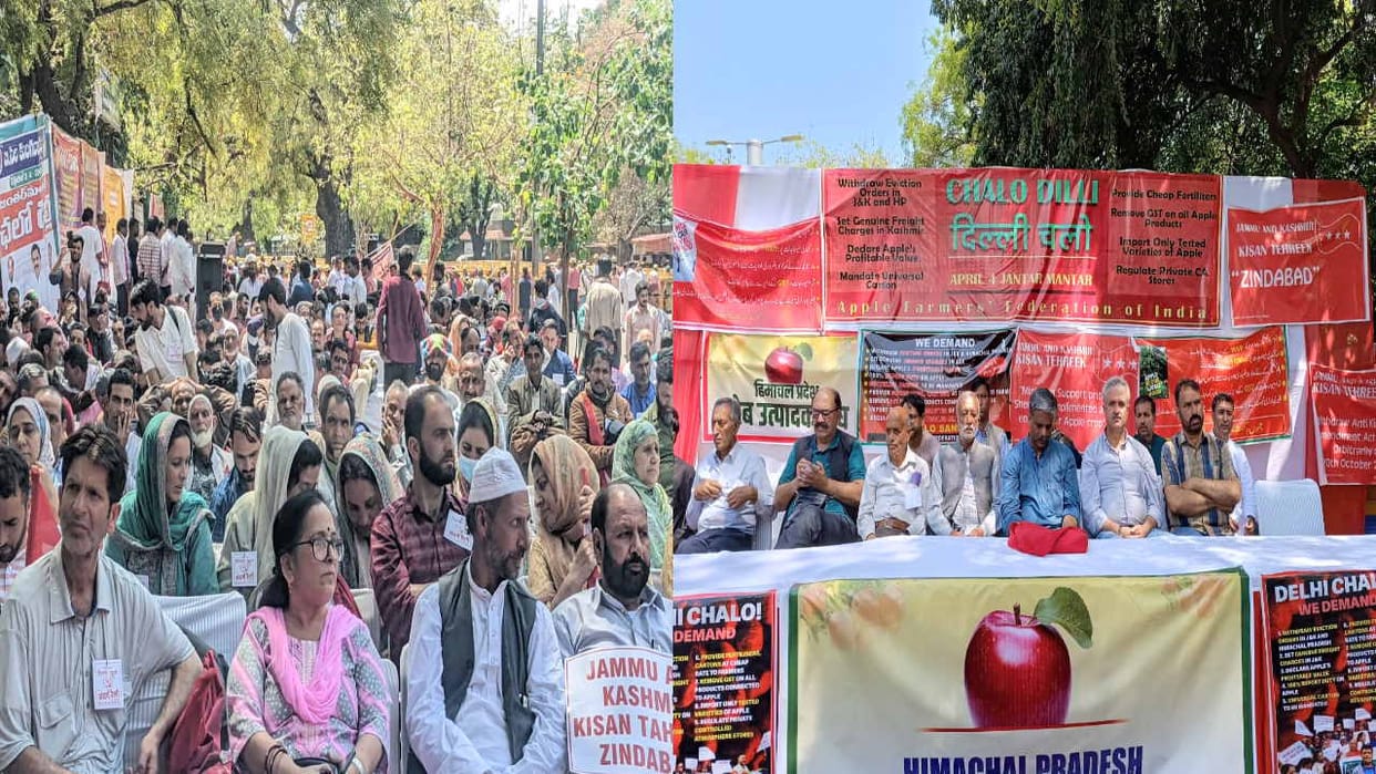 apple growers fight reached Delhi, demanding removal of GST from apple production accessories