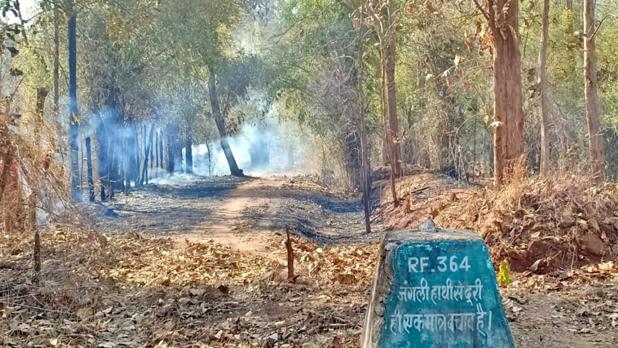 Umaria News Fierce fire in the forest of Bandhavgarh Tiger Reserve