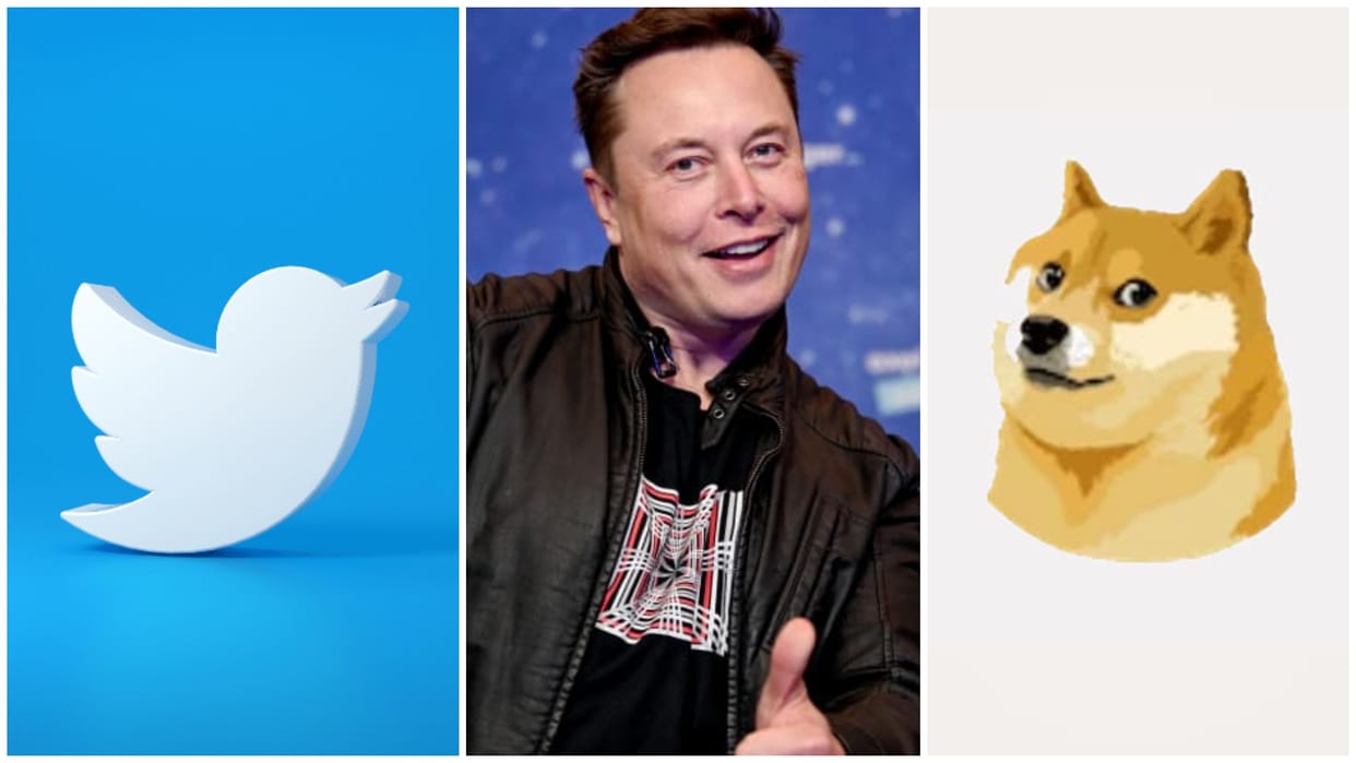 Elon Musk changes Twitter Bird Logo with Shibu Inu of Doge Meme amid Dogecoin inflation Lawsuit news and updat
