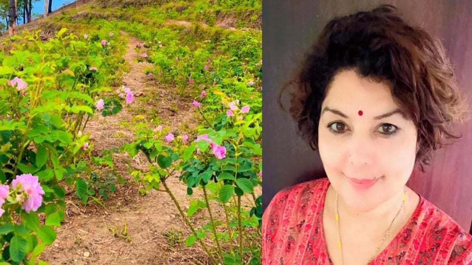 Uttarakhand News : Babita from Pithoragarh doing roses farming in  barren fields