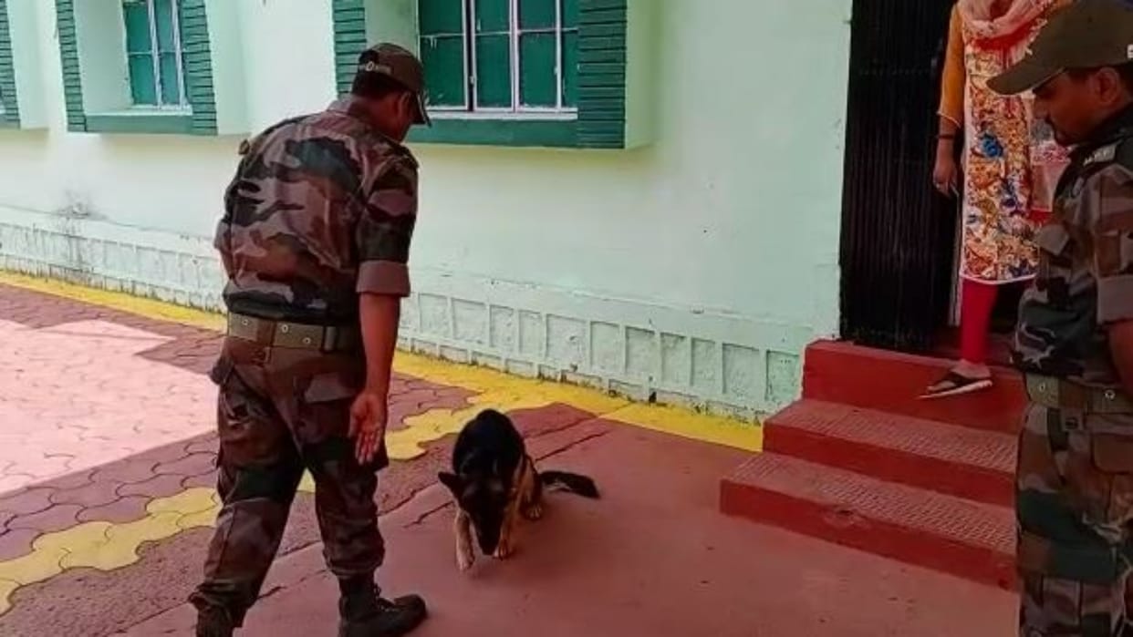 MP News German Shepherd Dog will now protect Kuno Century in Sheopur