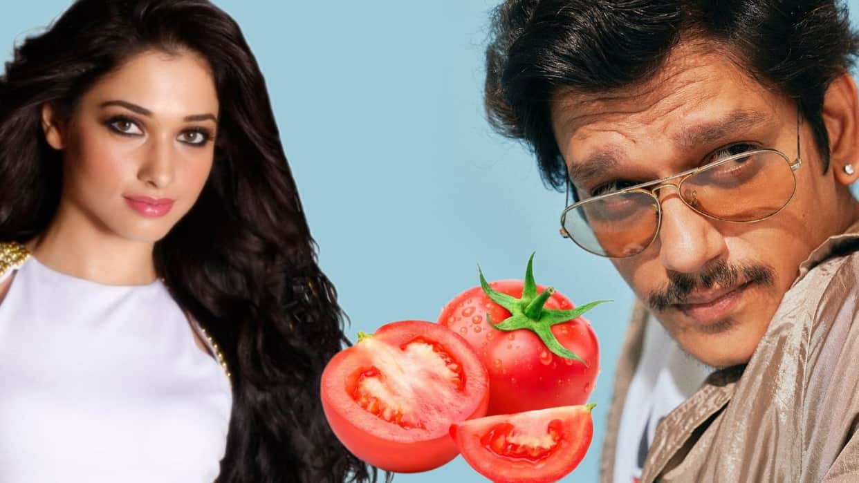 Vijay Varma Confirms His releationship With Tamannaah Bhatia know rumoured couple tamatar reaction