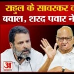 नितिन गडकरी, राहुल गांधी