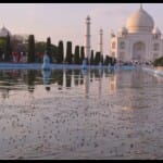 ताजमहल के सामने बनी नहर में पनप रहे मच्छर