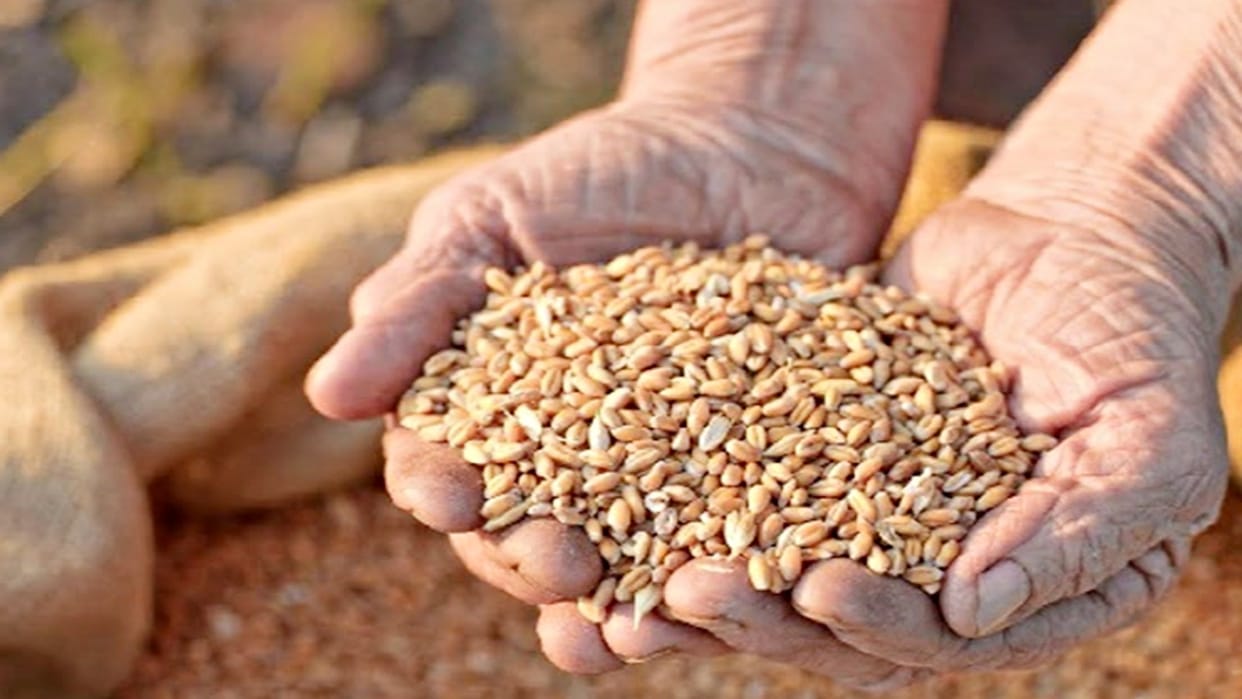 MP News Railway administration started exercise to promote indigenous food grains