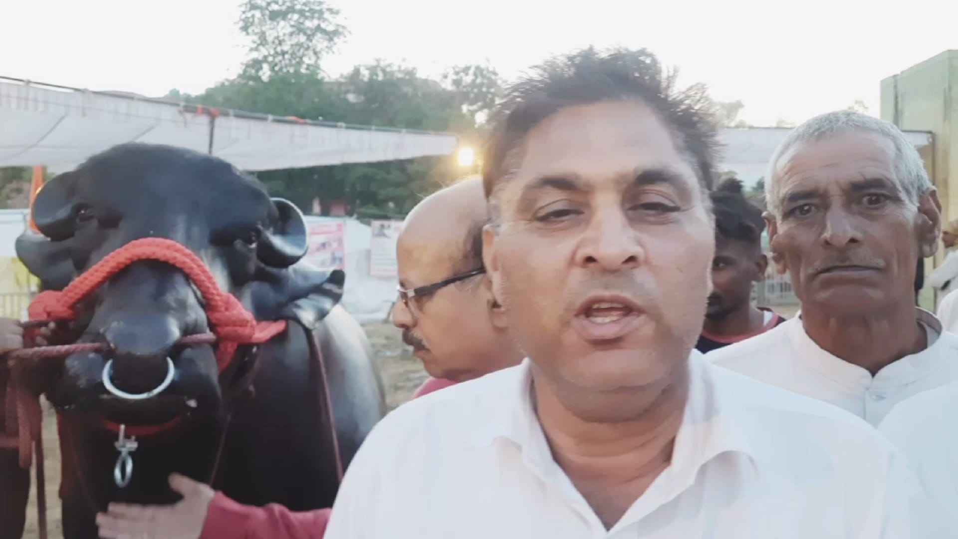 Muzaffarnagar News: Buffalo of 10 crore reached the exhibition, there was a crowd of selfie takers