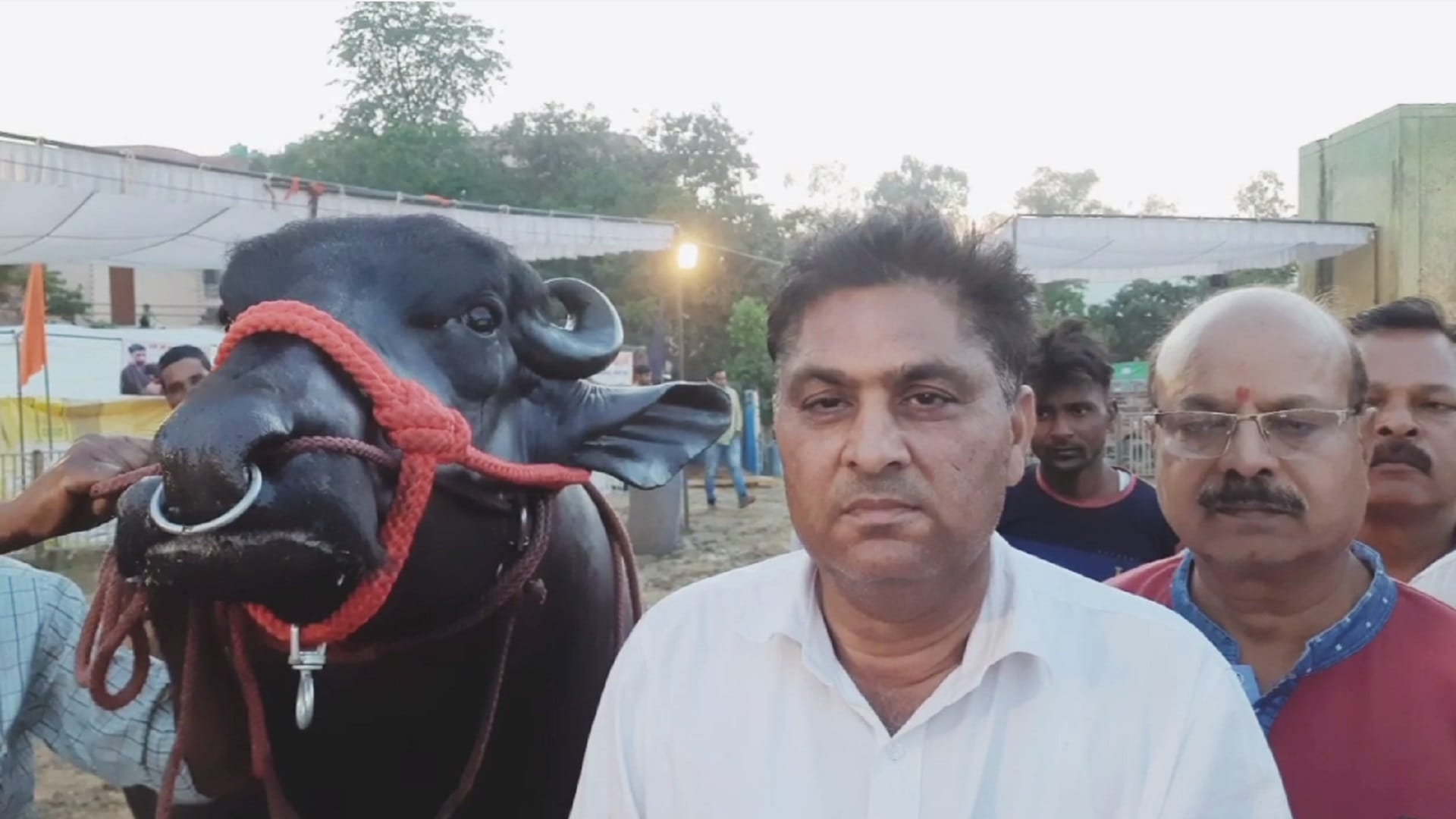 Muzaffarnagar News: Buffalo of 10 crore reached the exhibition, there was a crowd of selfie takers
