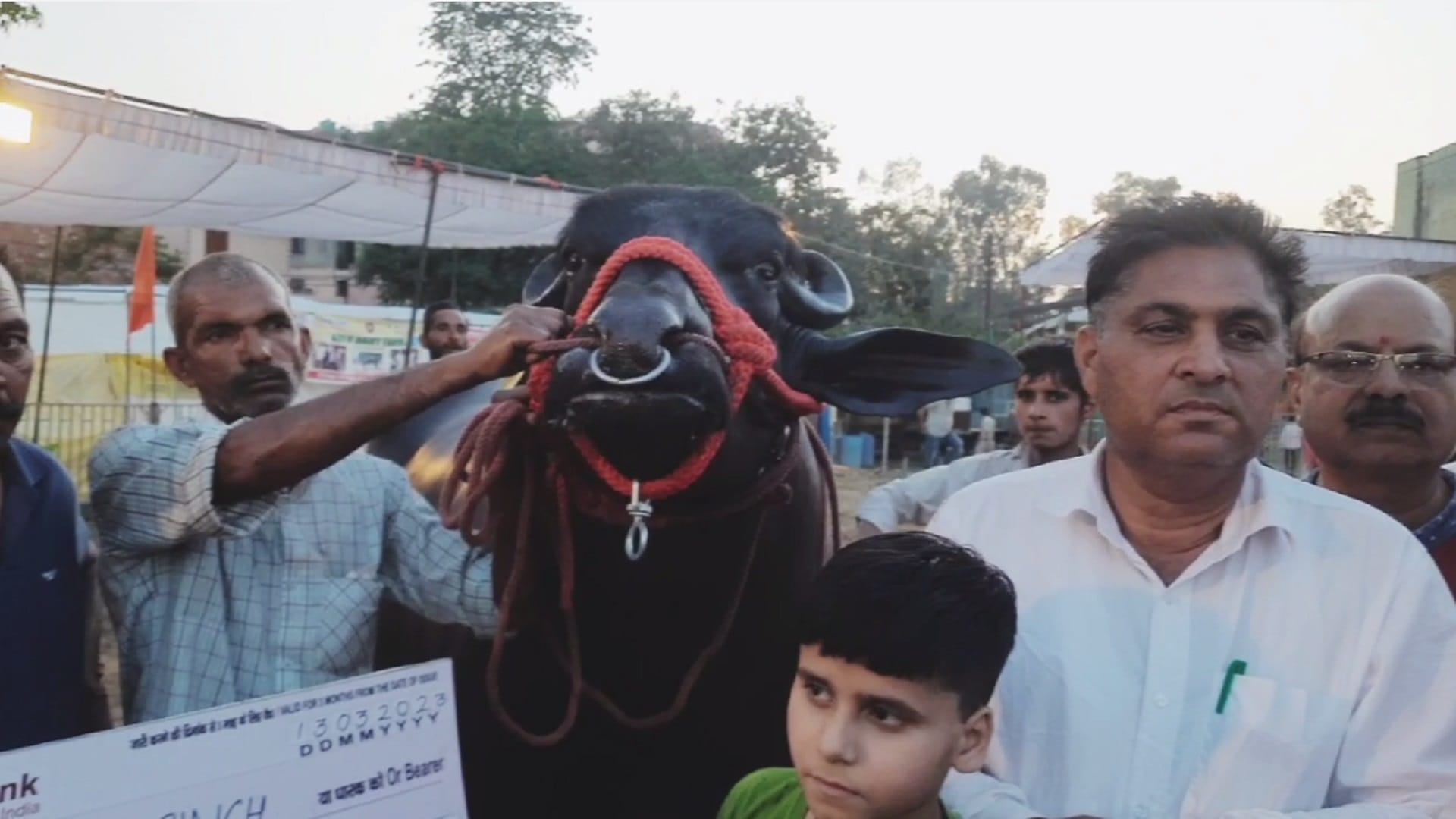 Muzaffarnagar News: Buffalo of 10 crore reached the exhibition, there was a crowd of selfie takers